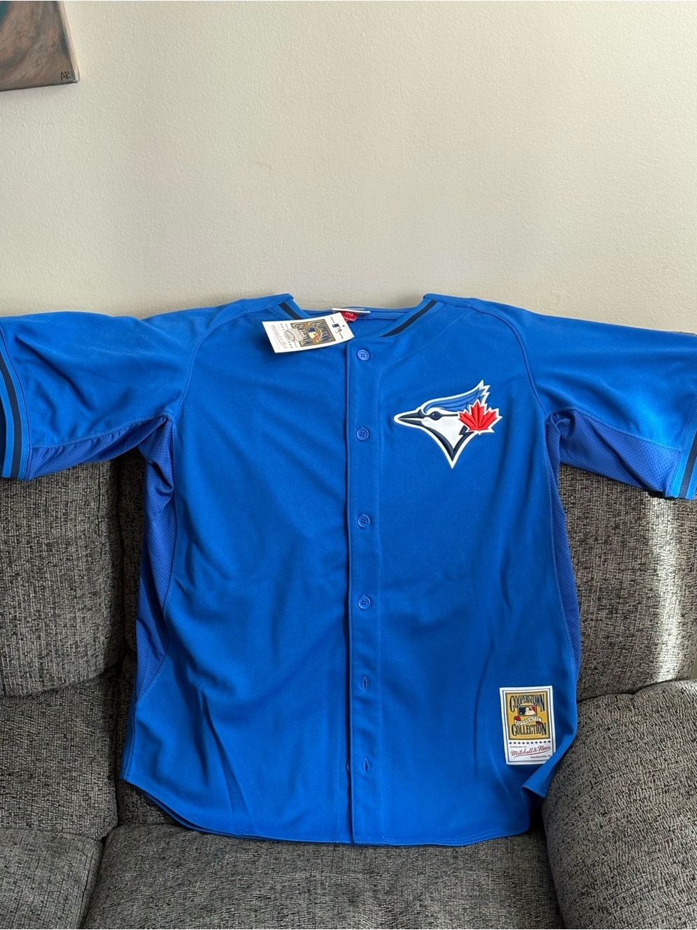 Mitchell & Ness Royal Blue Toronto Blue Jays Men's Jersey